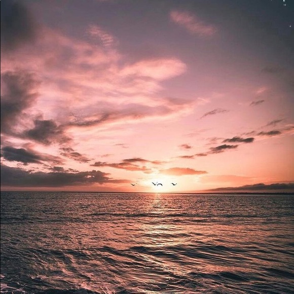 Meet your Posher, Chelsea - Picture 1 of 1